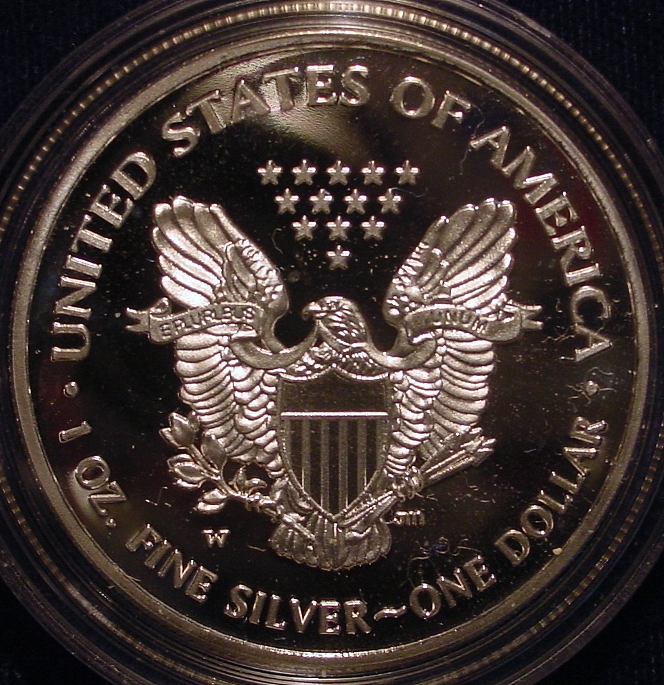 2015 Sil Eagle Pr Fake R.jpg