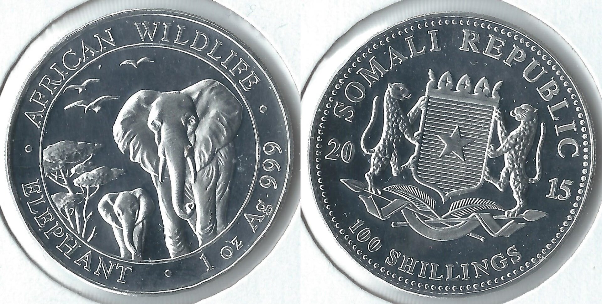 2015 somalia 100 shillings.jpg