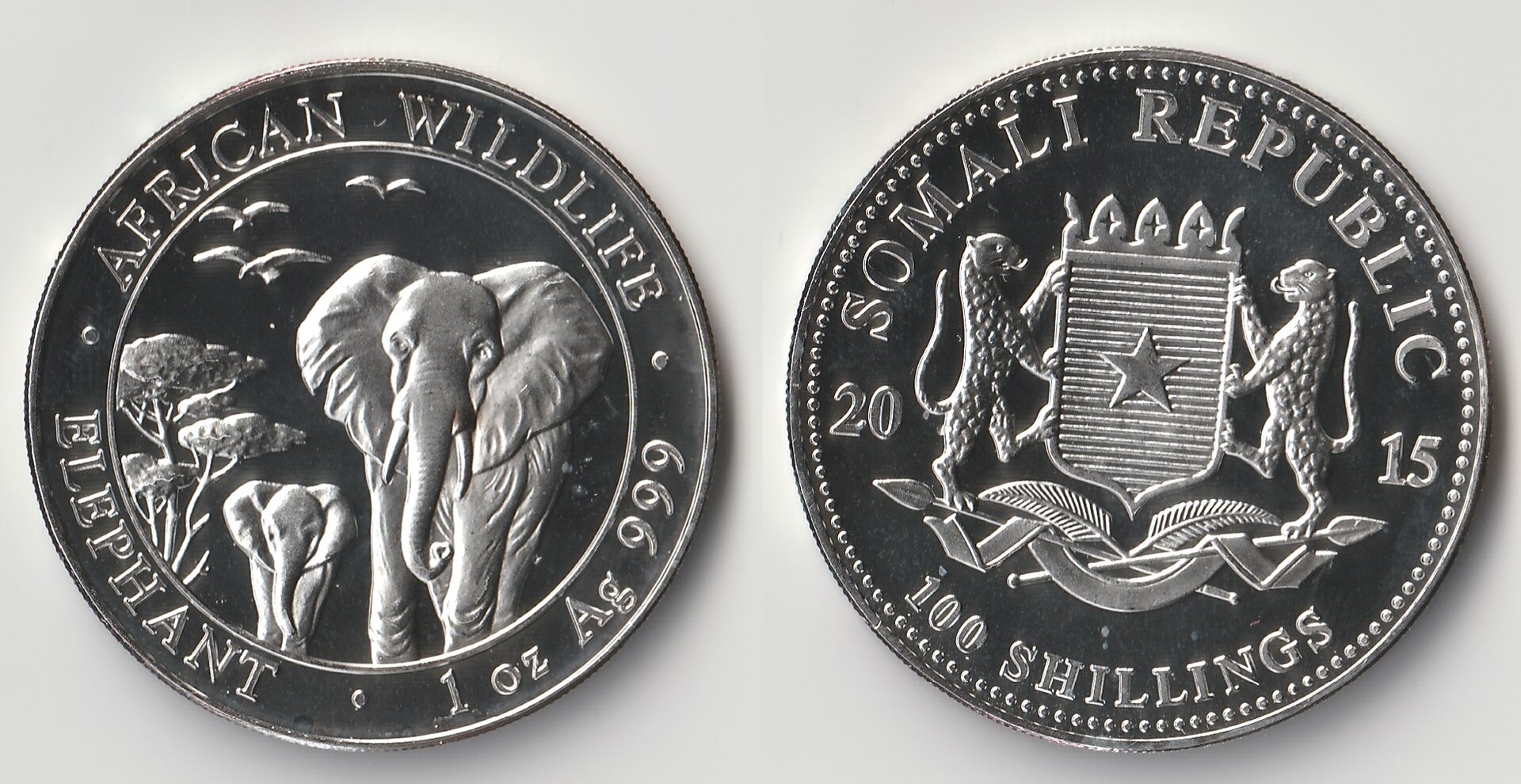 2015 somalia 100 shillings.jpg