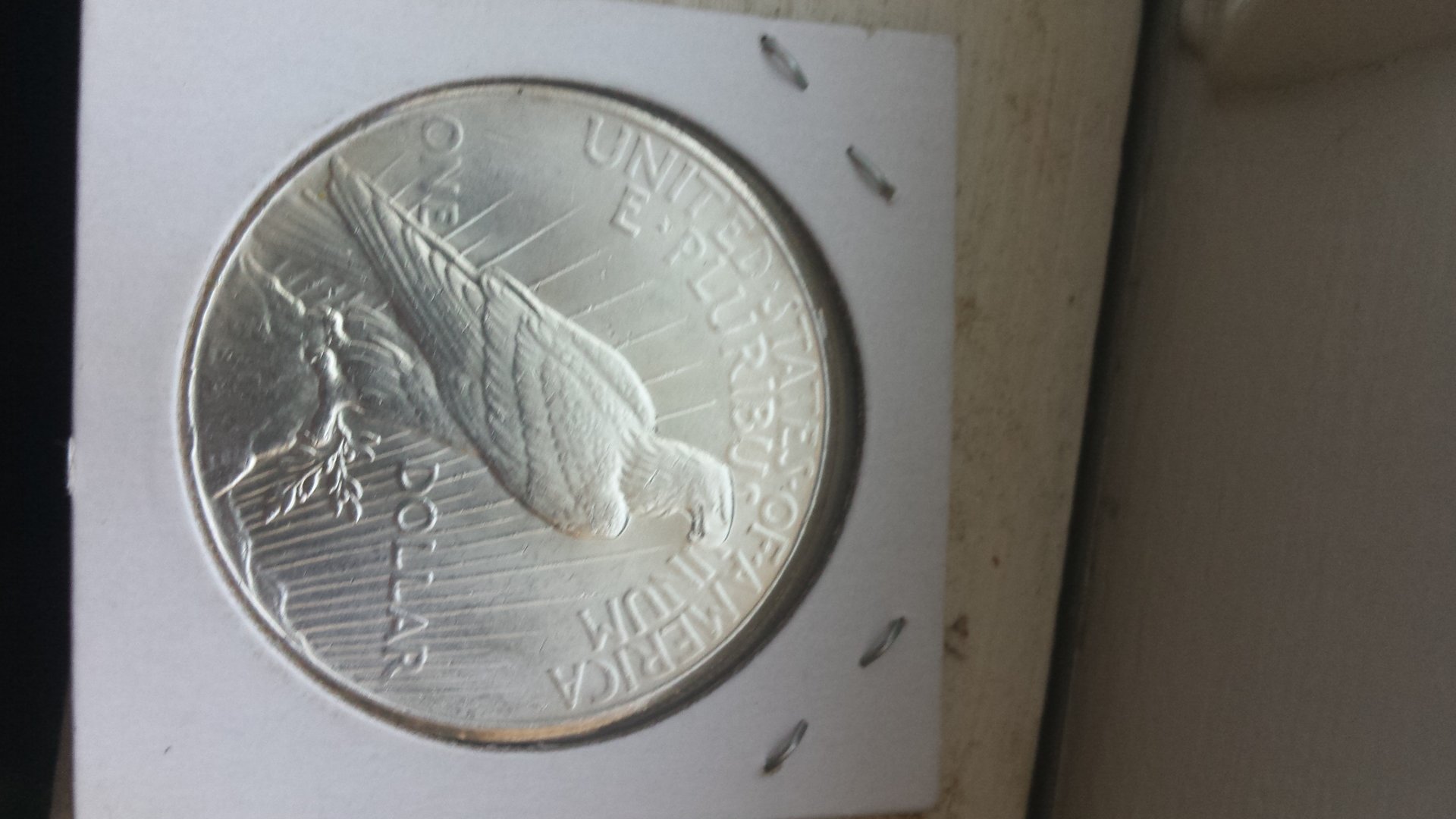 20150117_155614.jpg