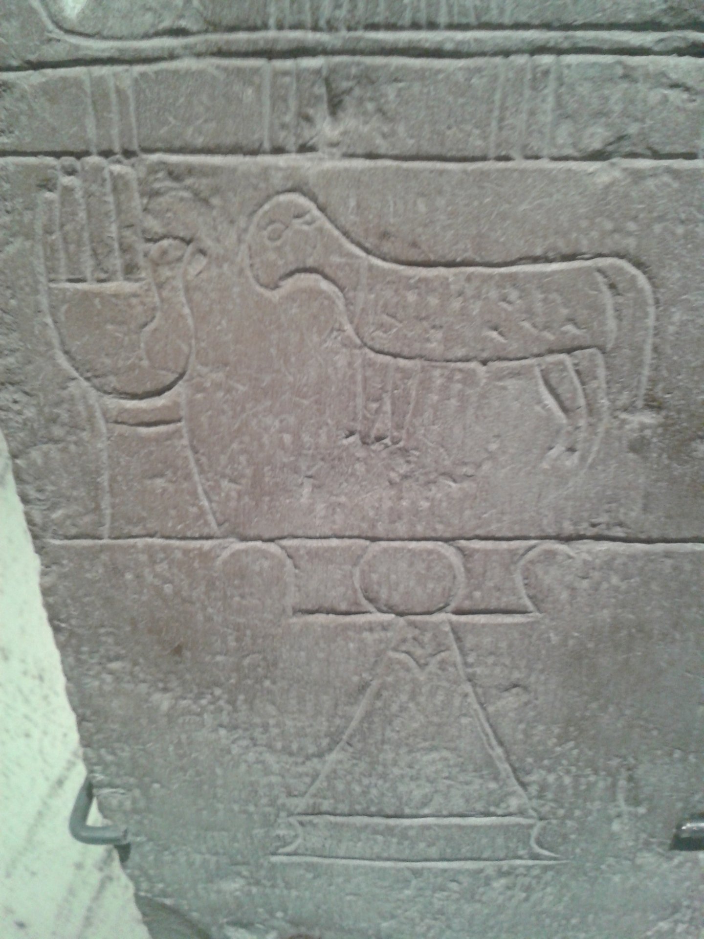 20150118_124518.jpg