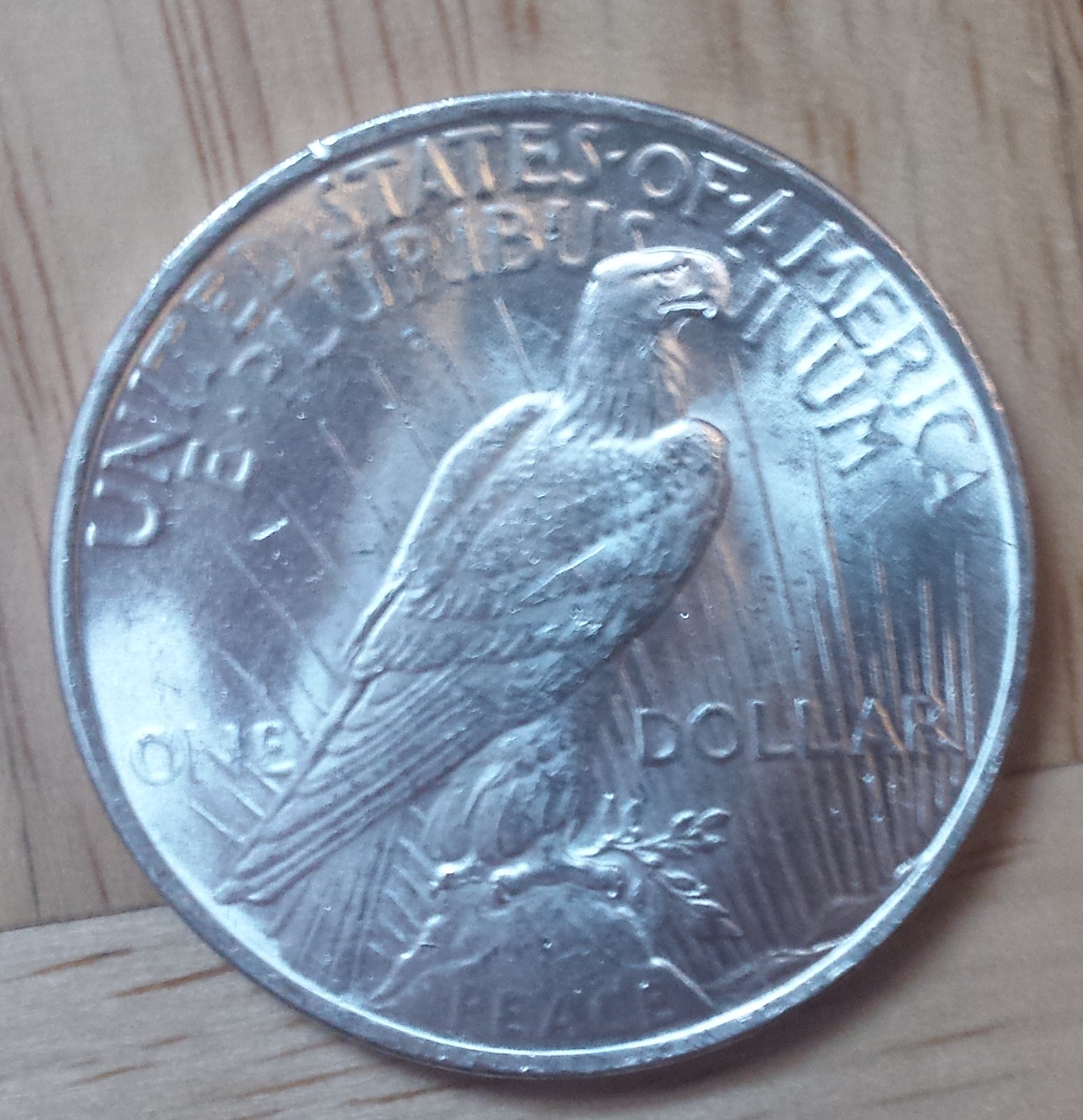 20150216_155444.jpg