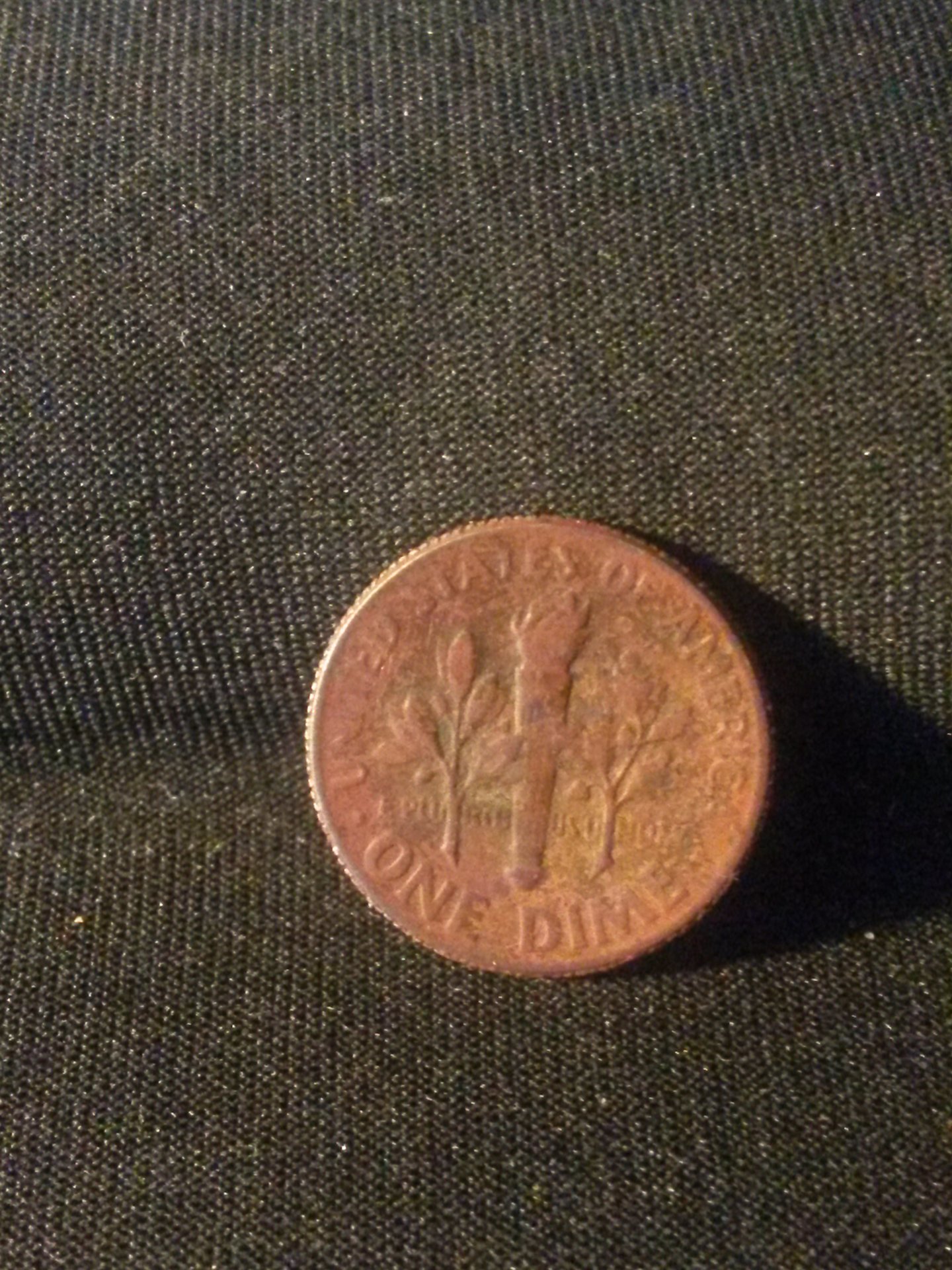 20150303_125002.jpg