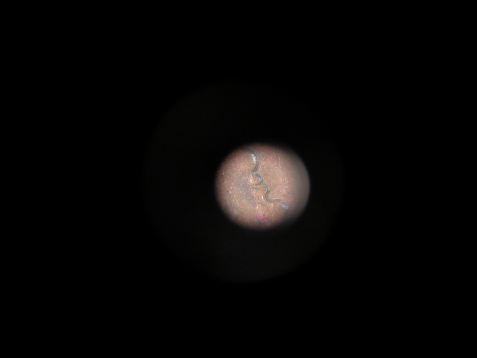 20150304_070236.jpg