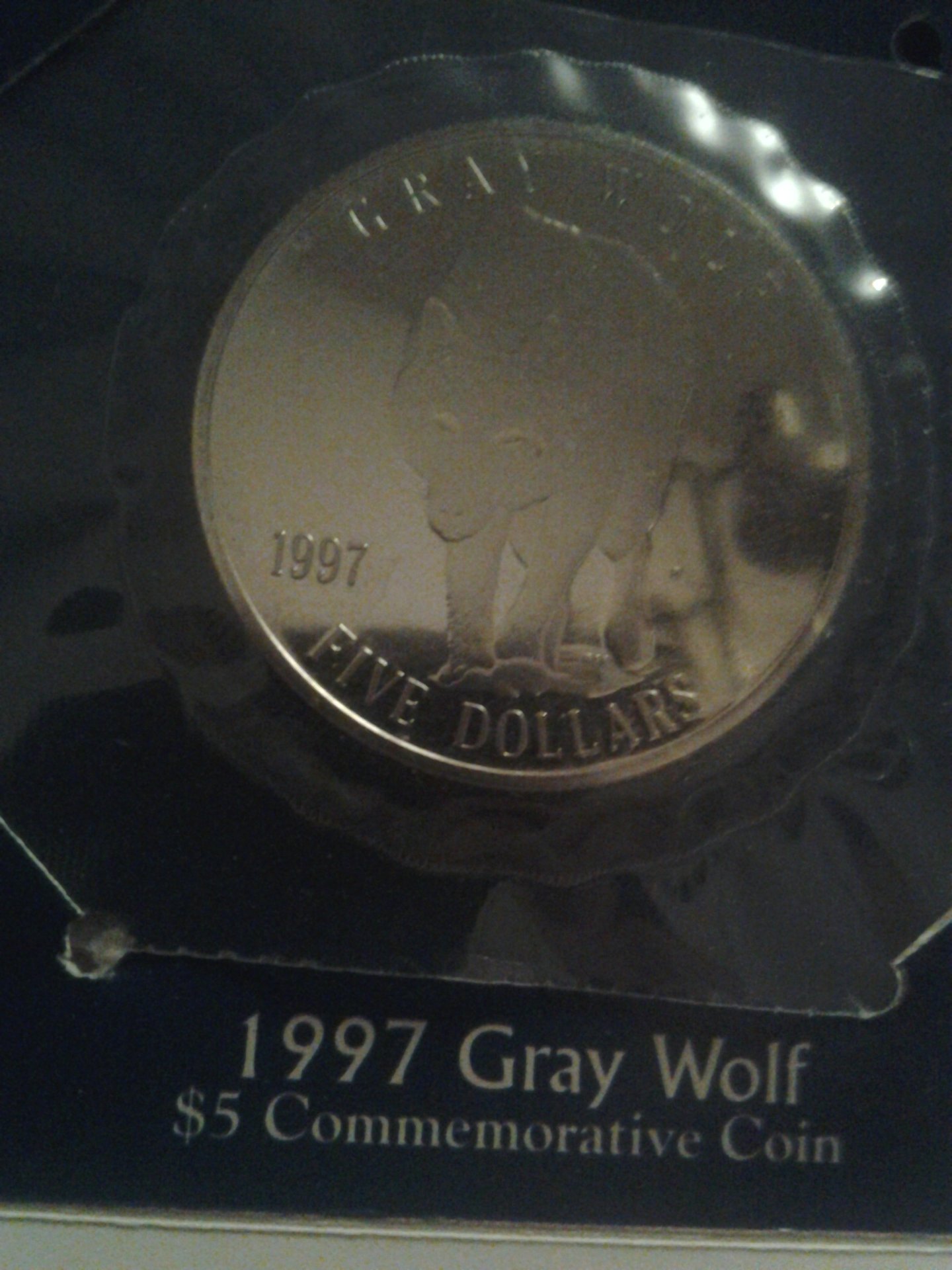 20150308_232855.jpg