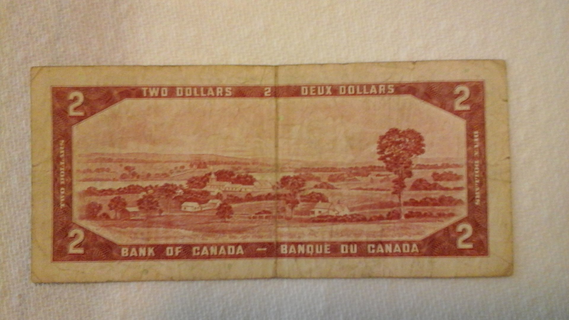 20150325_150742.jpg