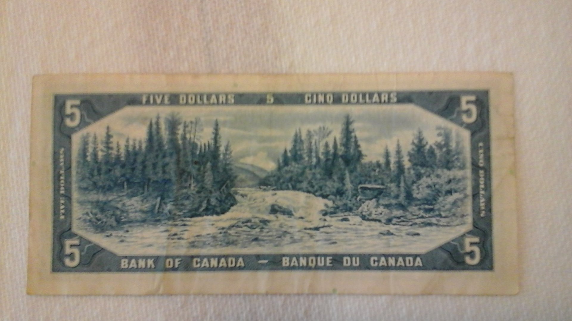 20150325_151727.jpg