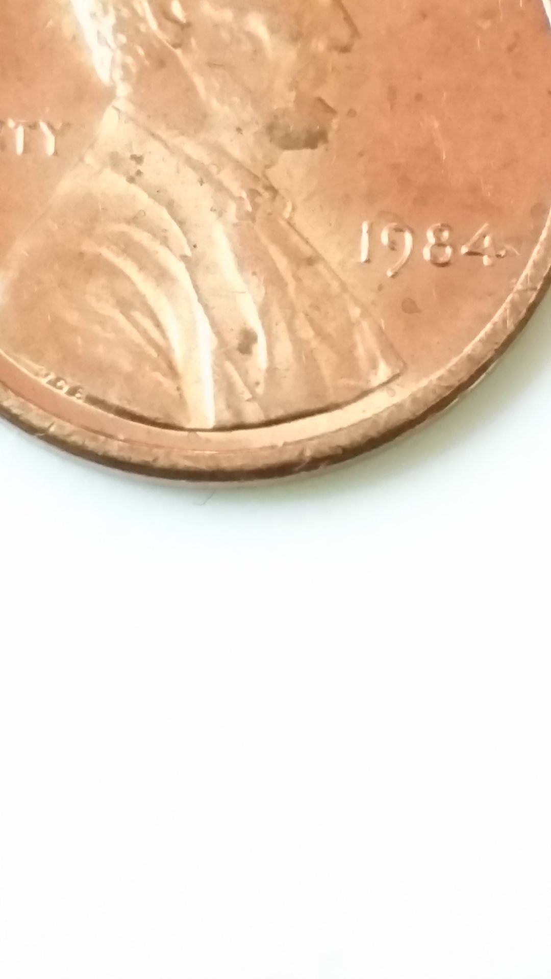 20150402_021531.jpg