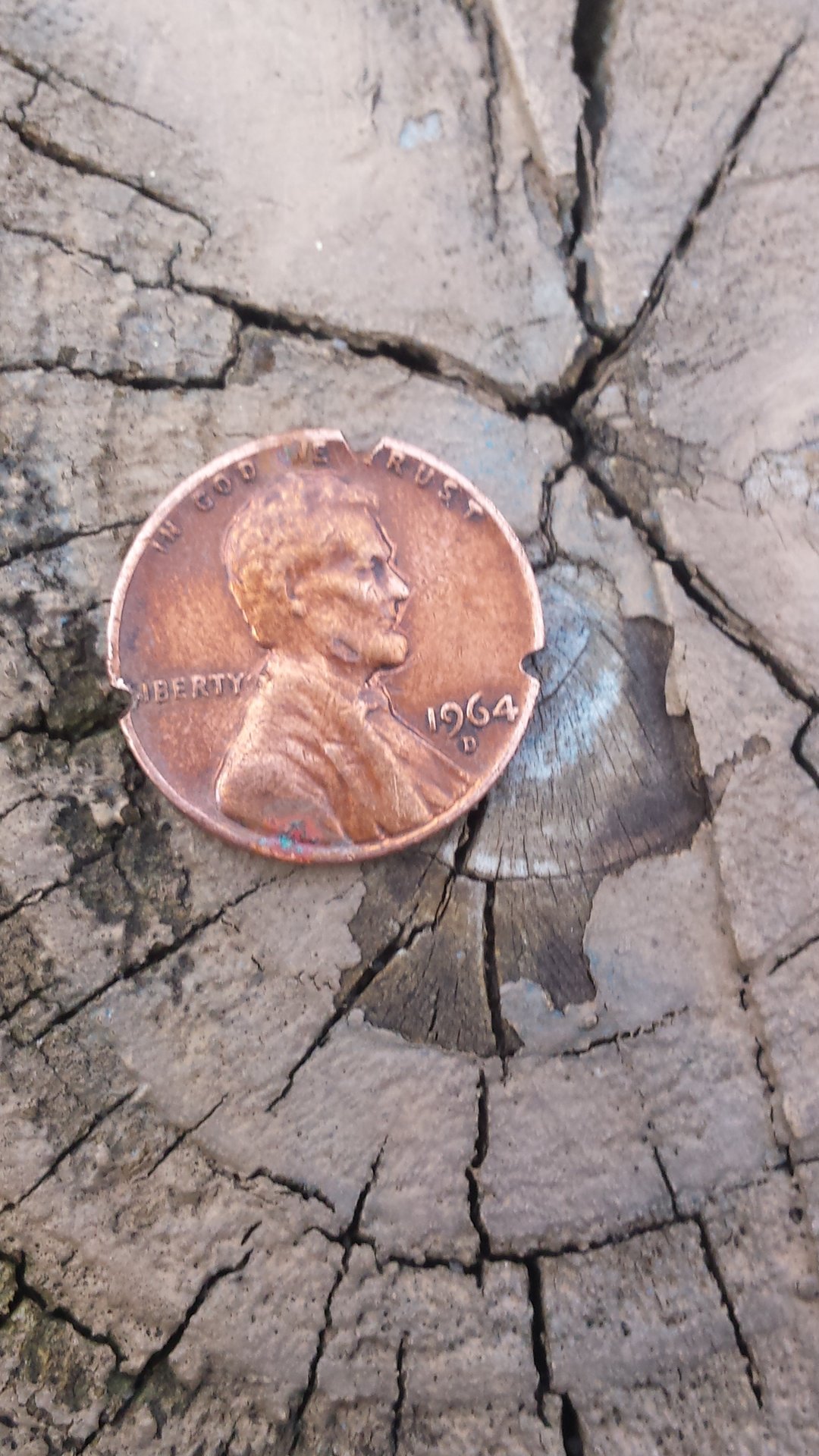 20150424_180619.jpg