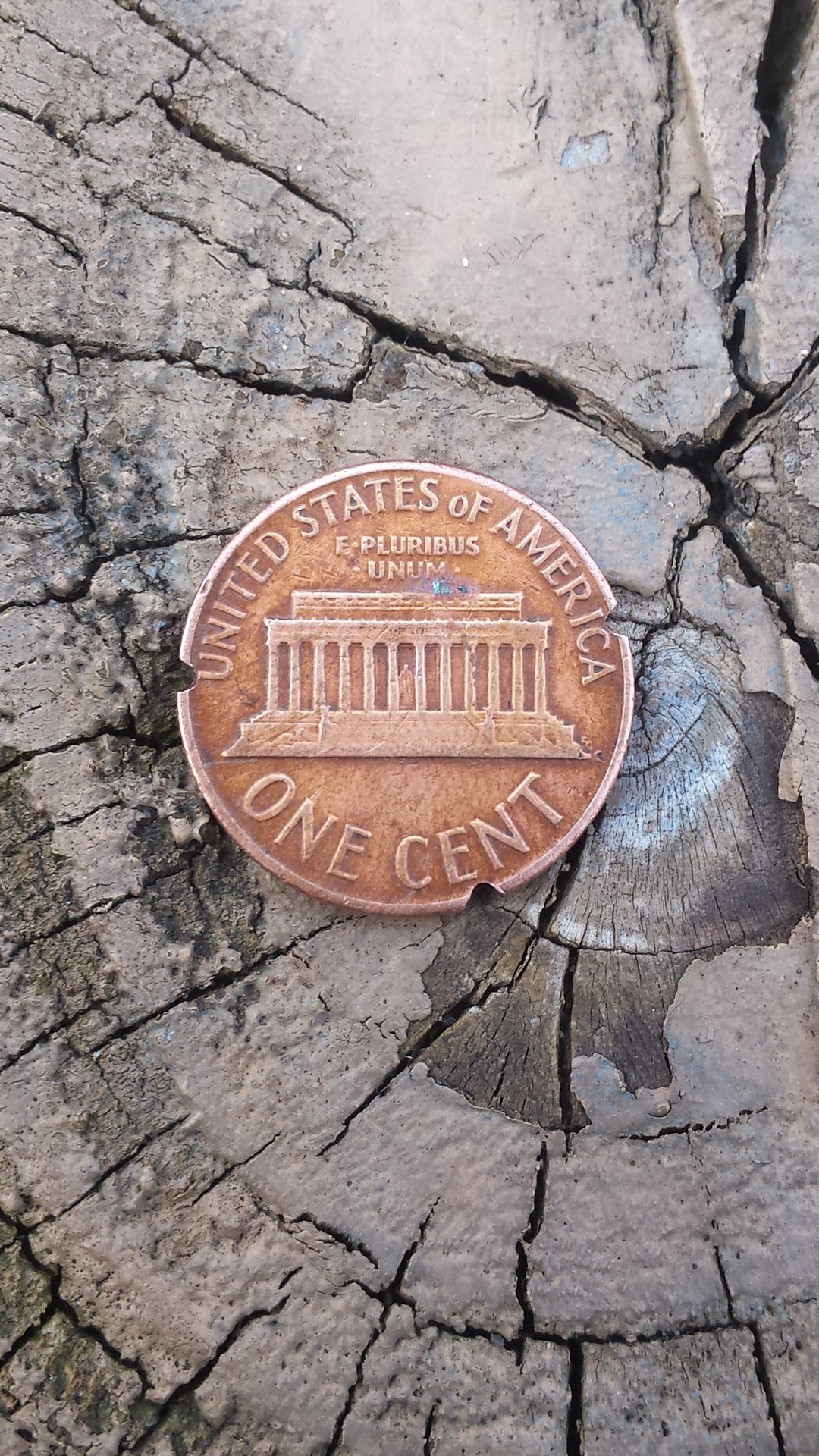 20150424_180626.jpg