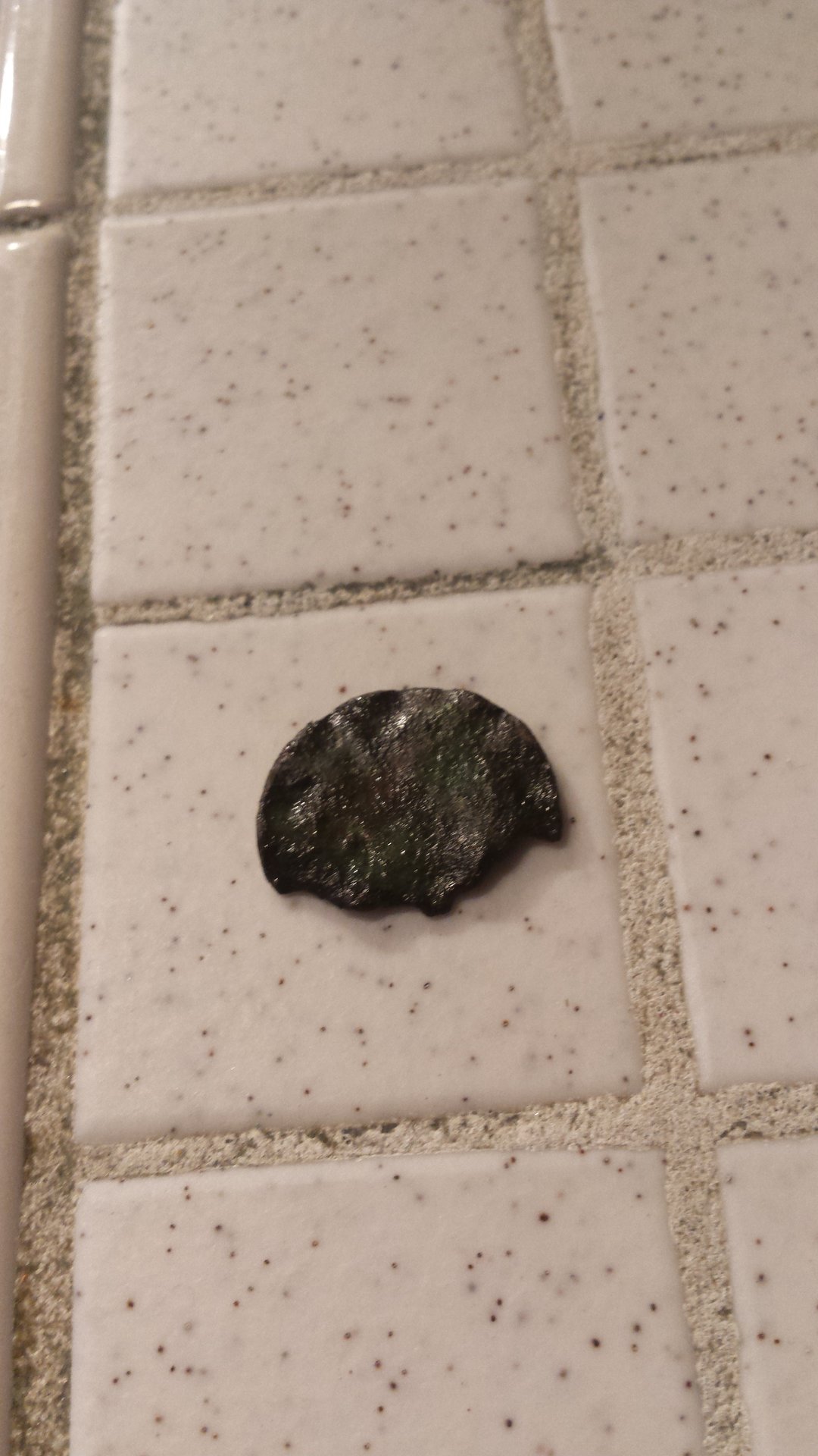 20150427_190950.jpg