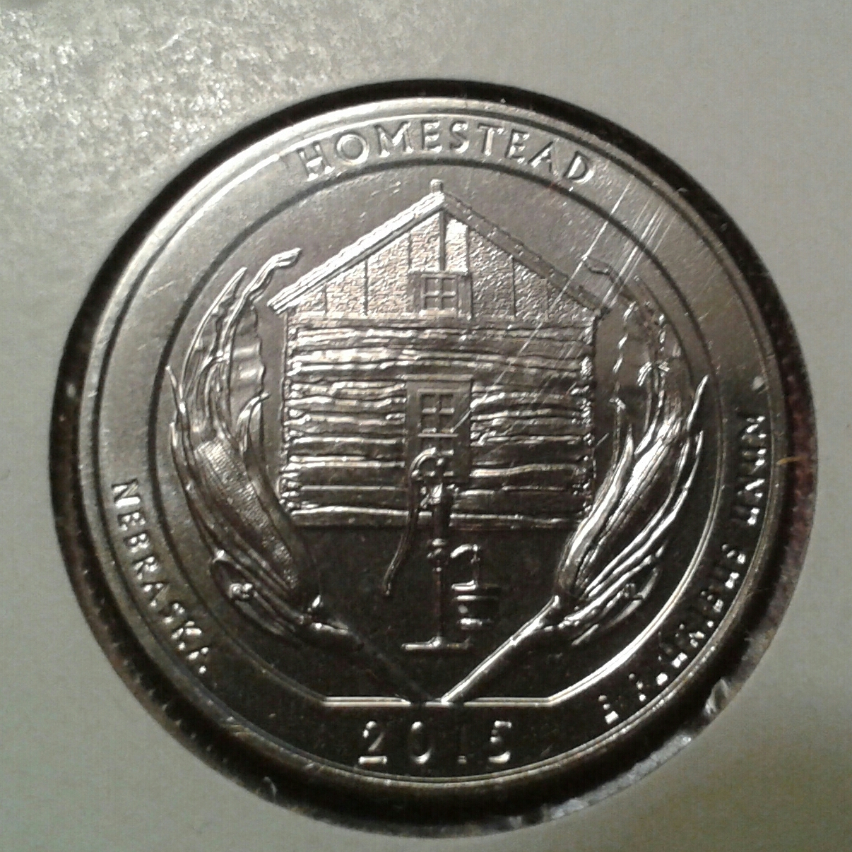 20150428_170420-1-1.jpg
