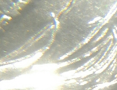 20150429_084417-1-1.jpg