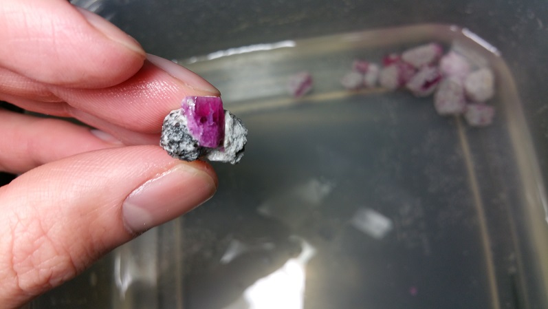 20150508_183437.jpg