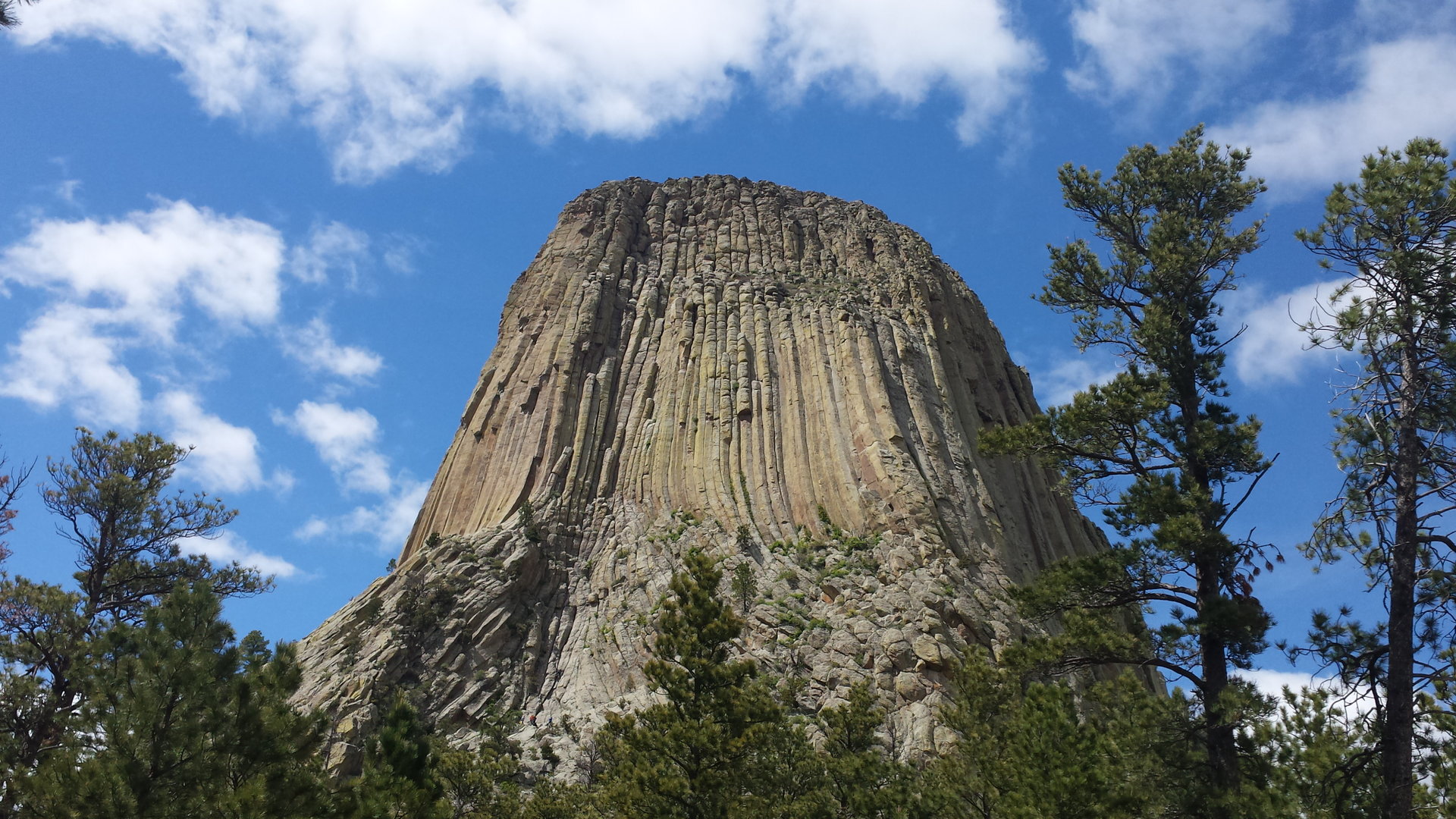 20150520_142507.jpg