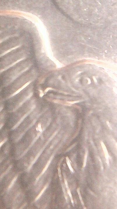 20150618_184440-1-1.jpg