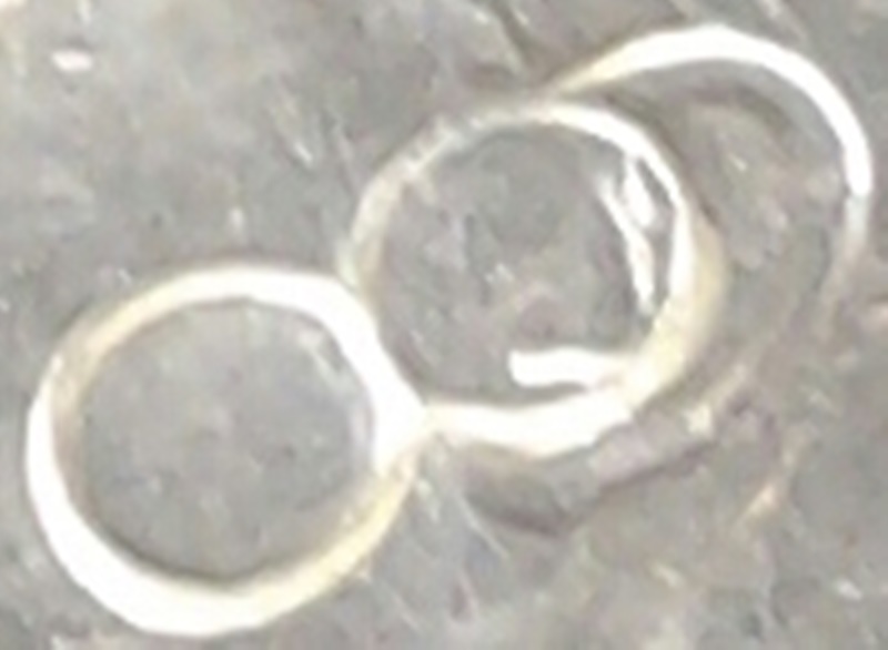 20150708_132439-1.jpg