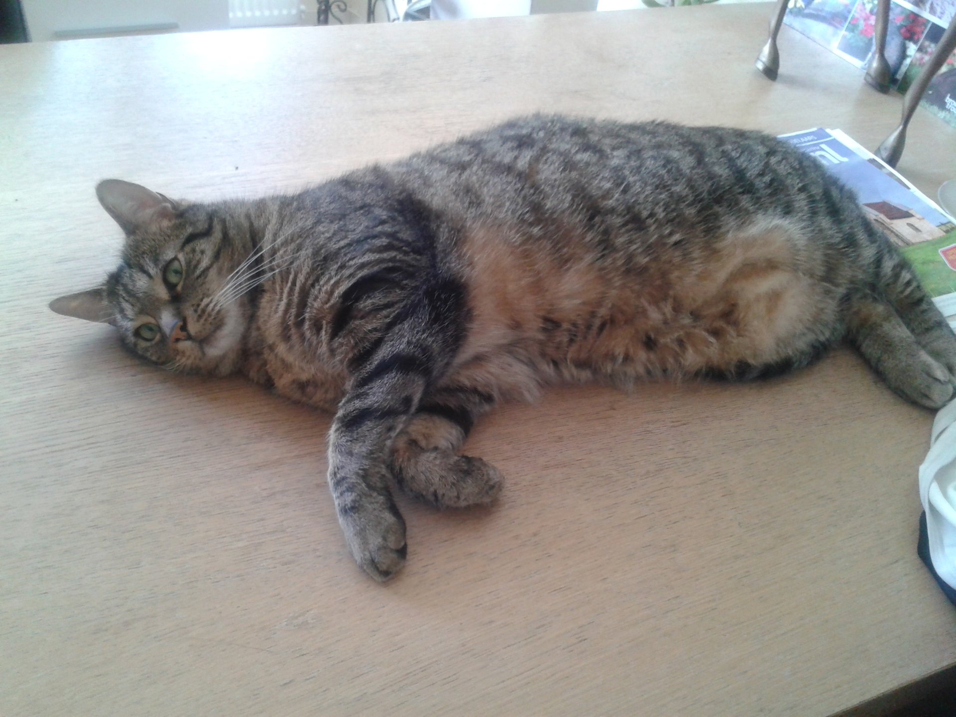 20150719_170500.jpg