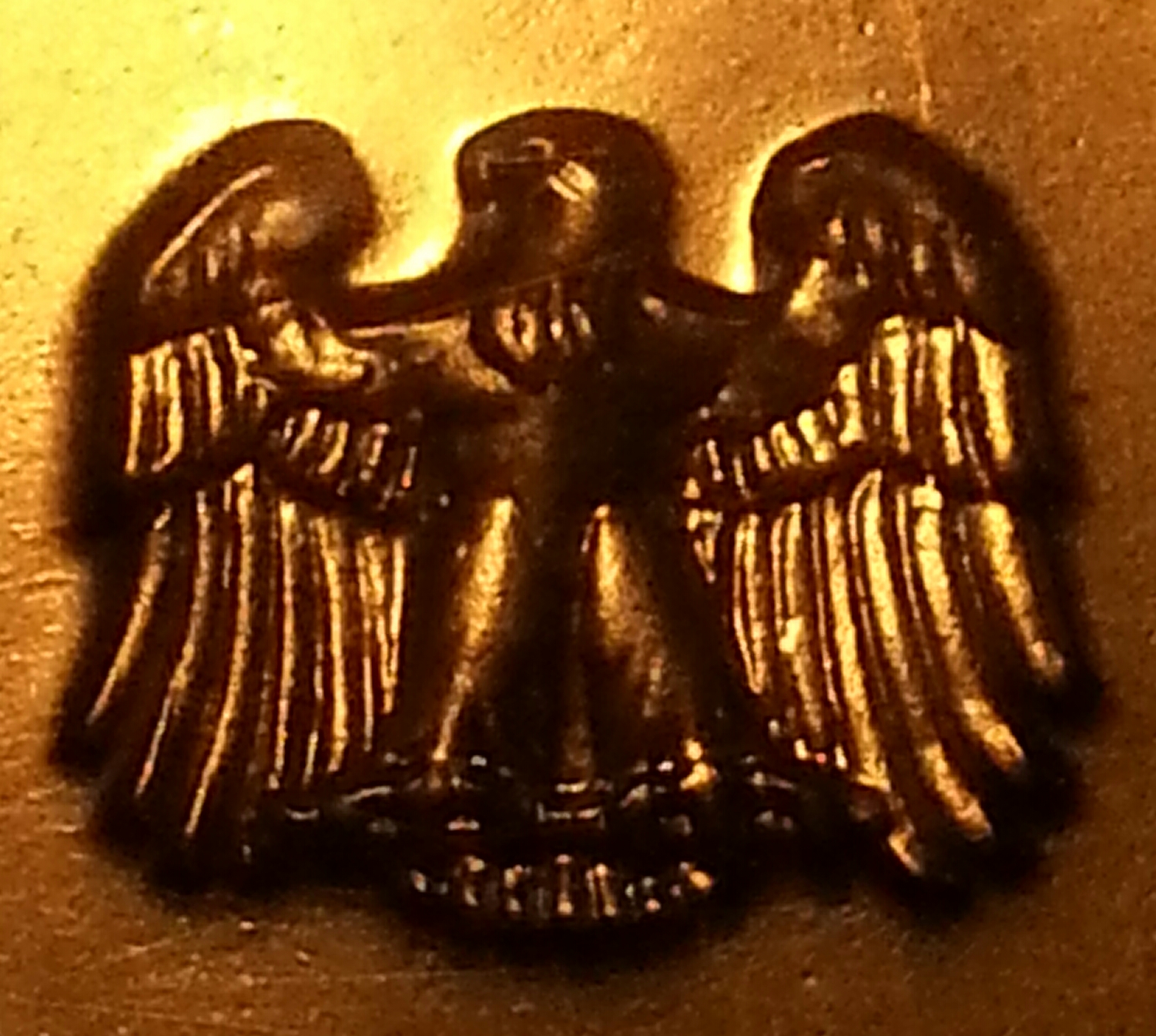 20150730_222942-1.jpg