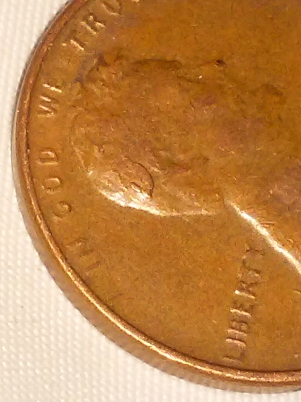 20150908_084239.jpg