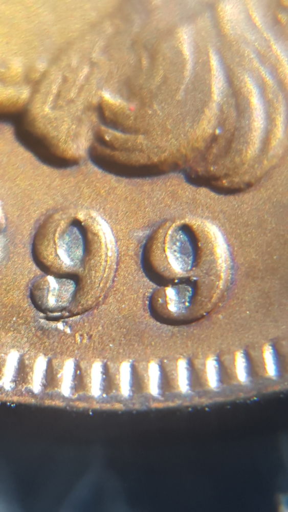 20150914_164836_opt.jpg