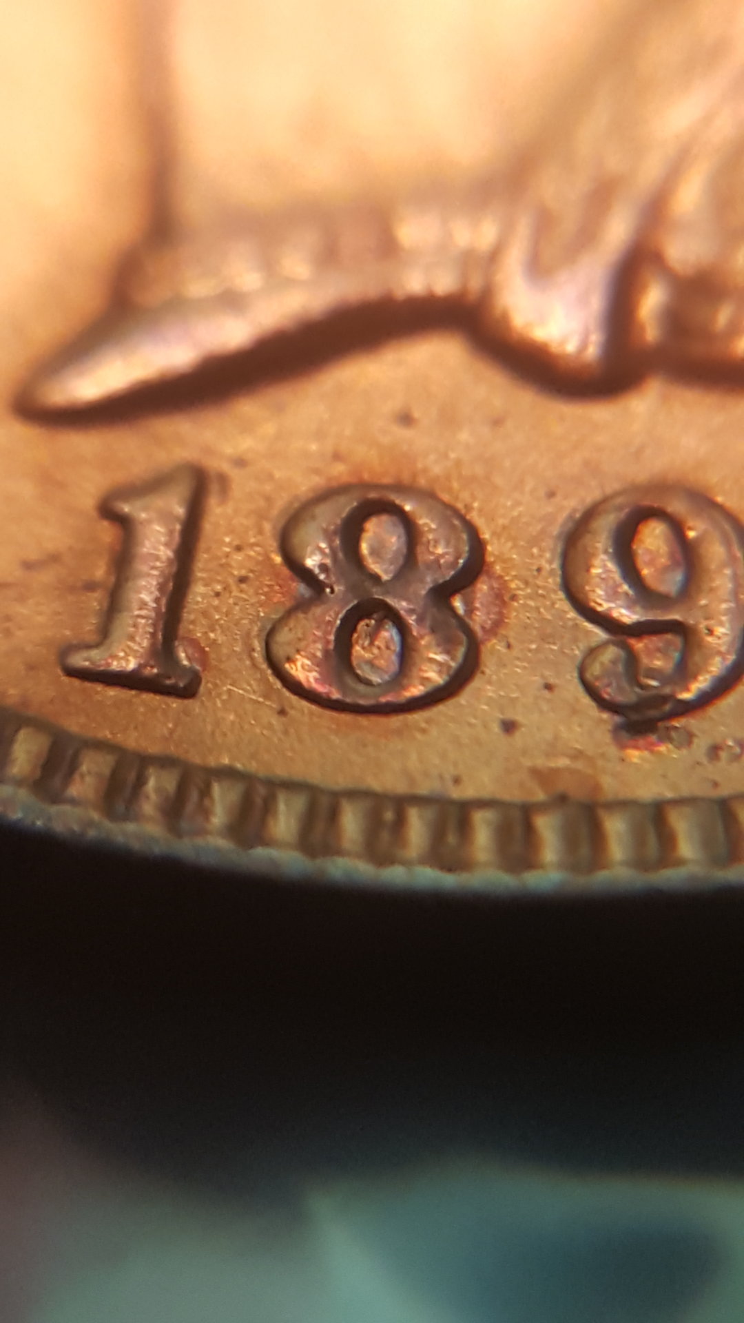 20150915_191626.jpg