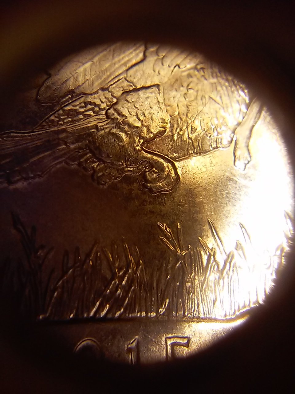 20150916_091600.jpg