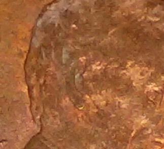 20150917_094025-1-1.jpg