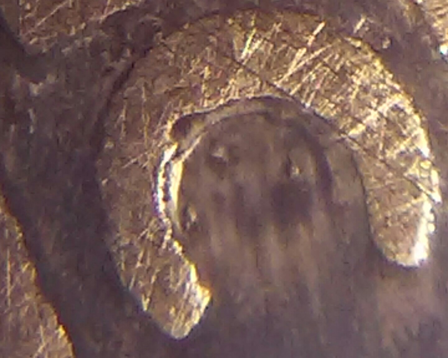 20150918_235443-1.jpg