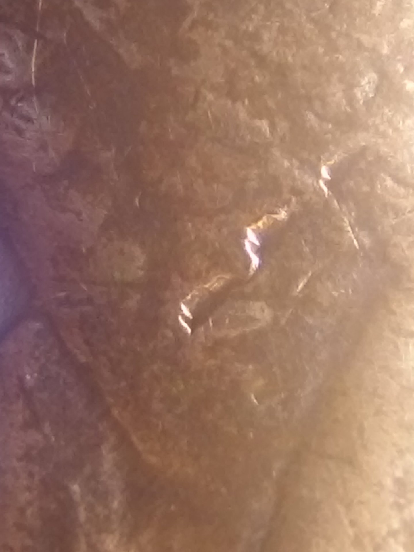 20150920_081256.jpg