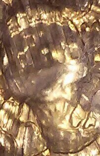 20150920_124009-1-1-1.jpg