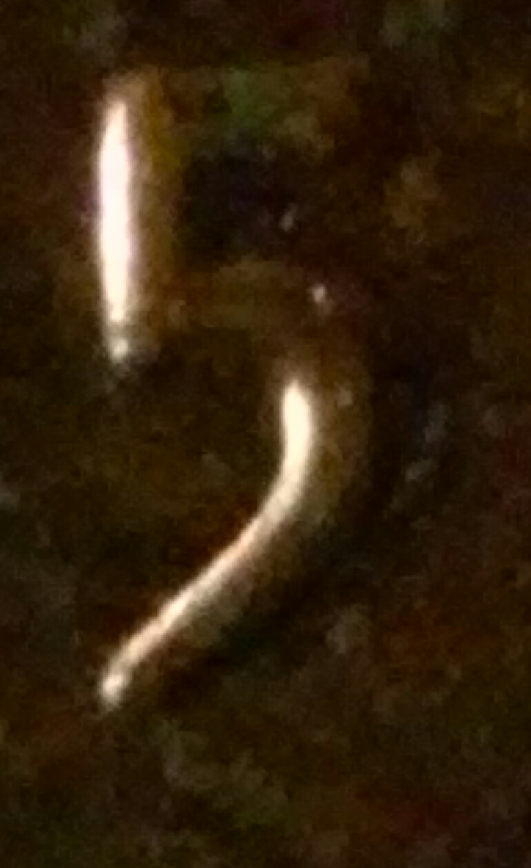 20150920_231925-1.jpg