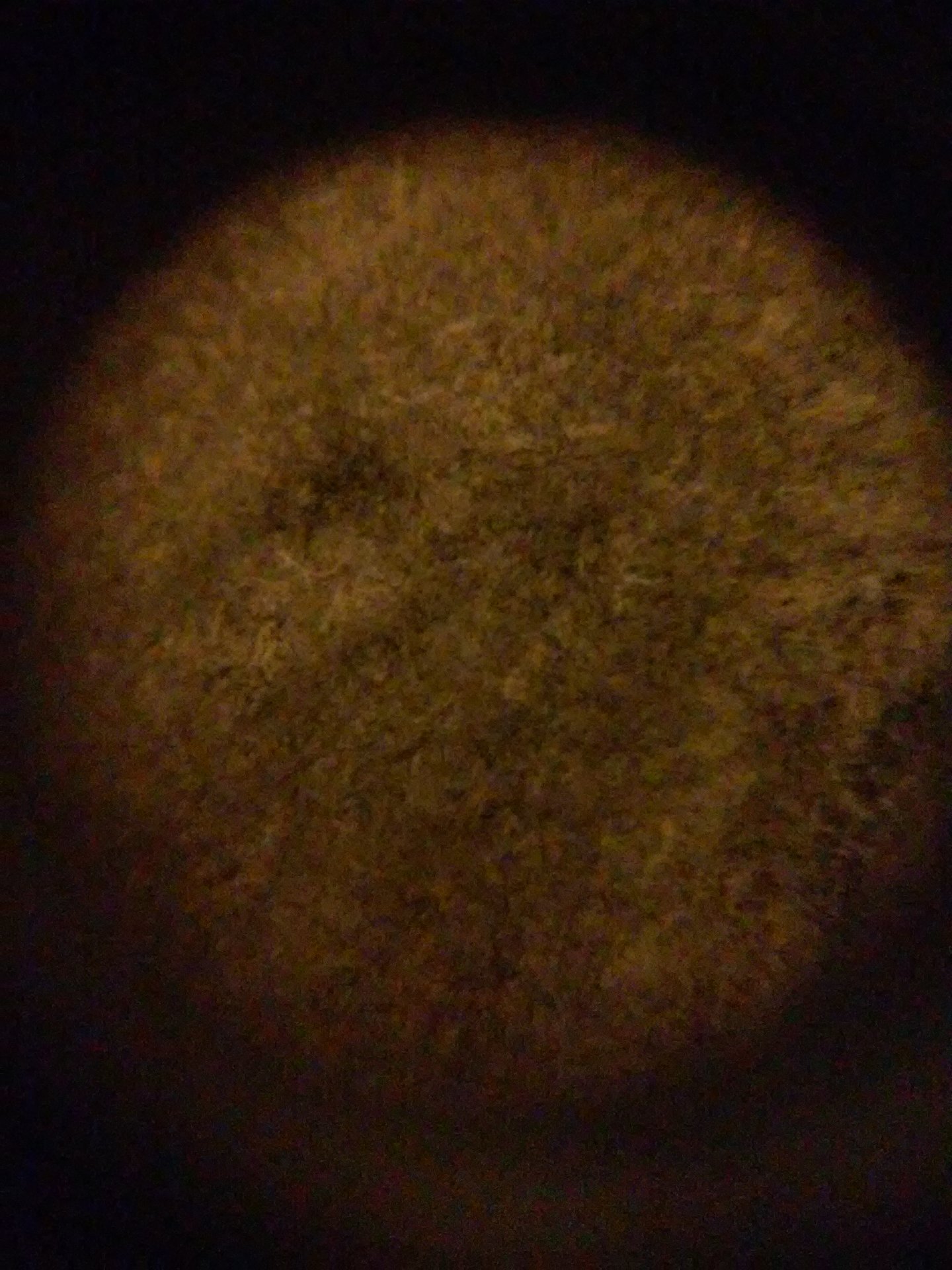 20150922_232447.jpg