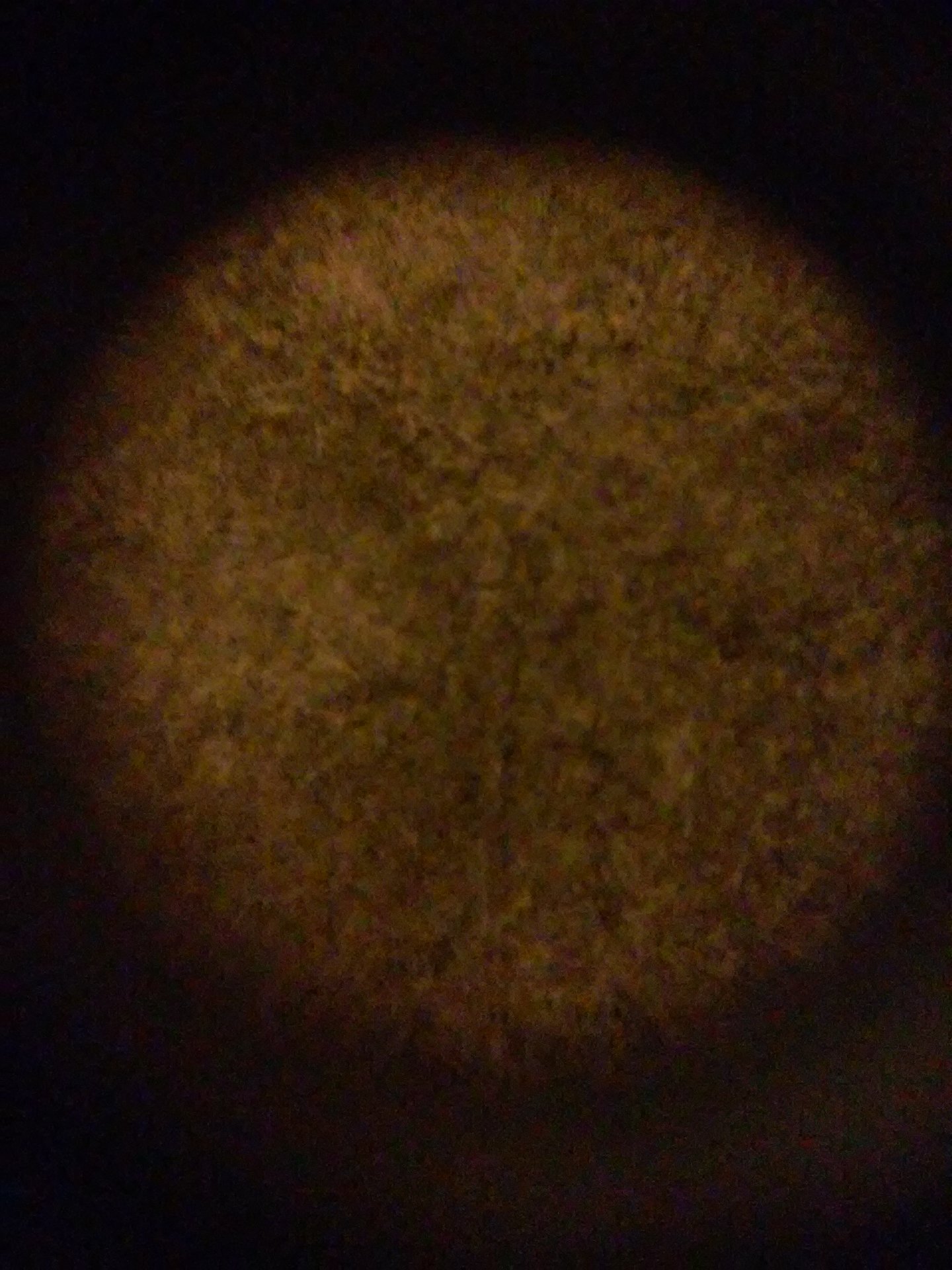 20150922_232508.jpg