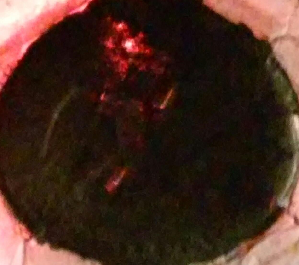 20150923_022207-1.jpg