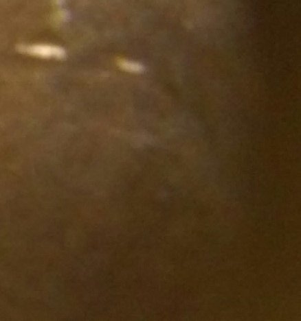 20150923_052904-1.jpg