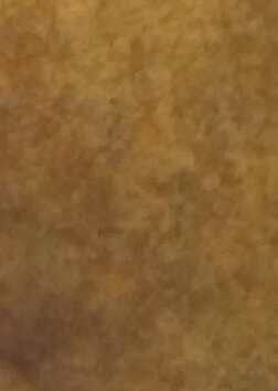 20150923_052904-3.jpg