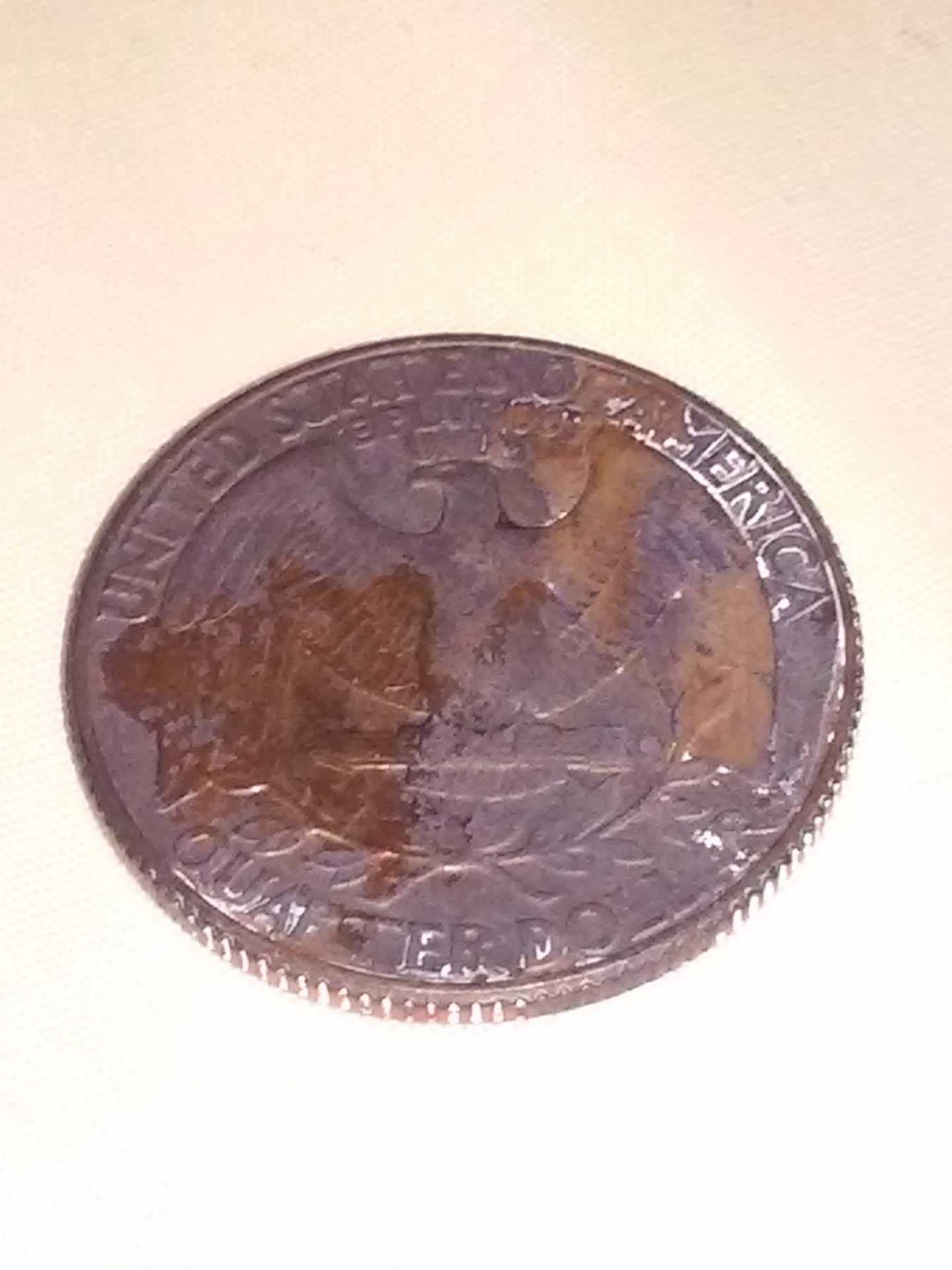 20150923_075353.jpg