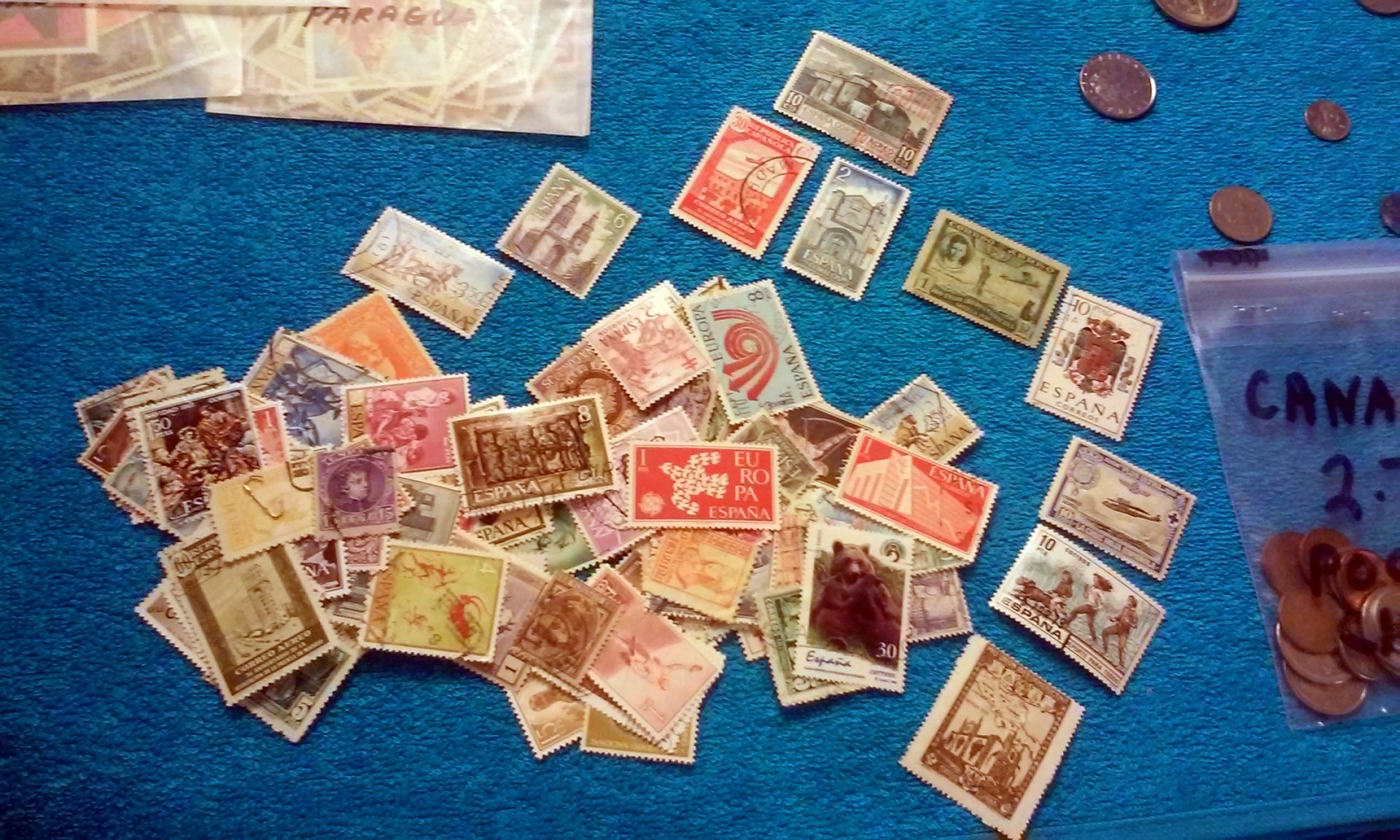 20150927_135035.jpg