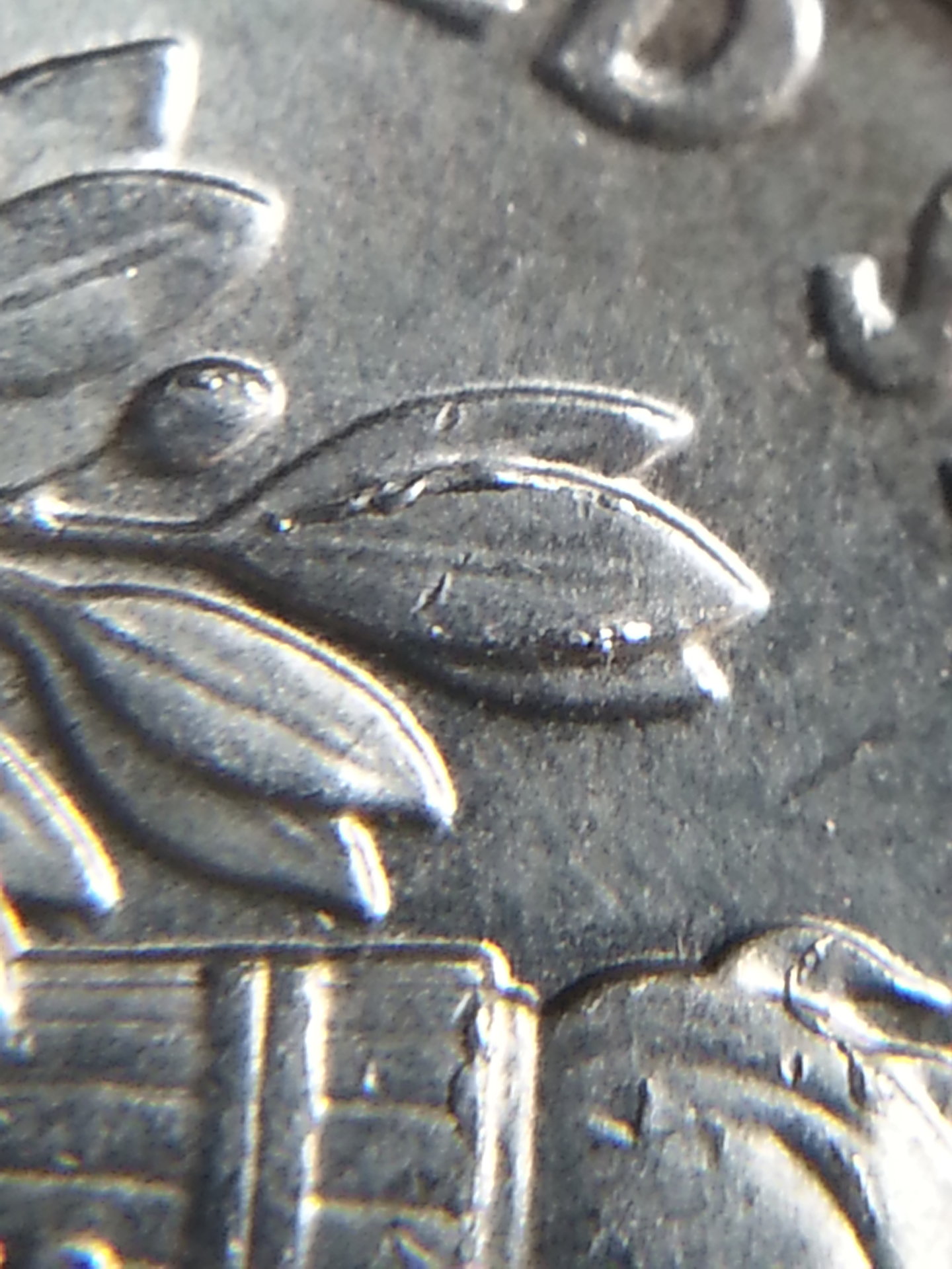 20151013_155905.jpg