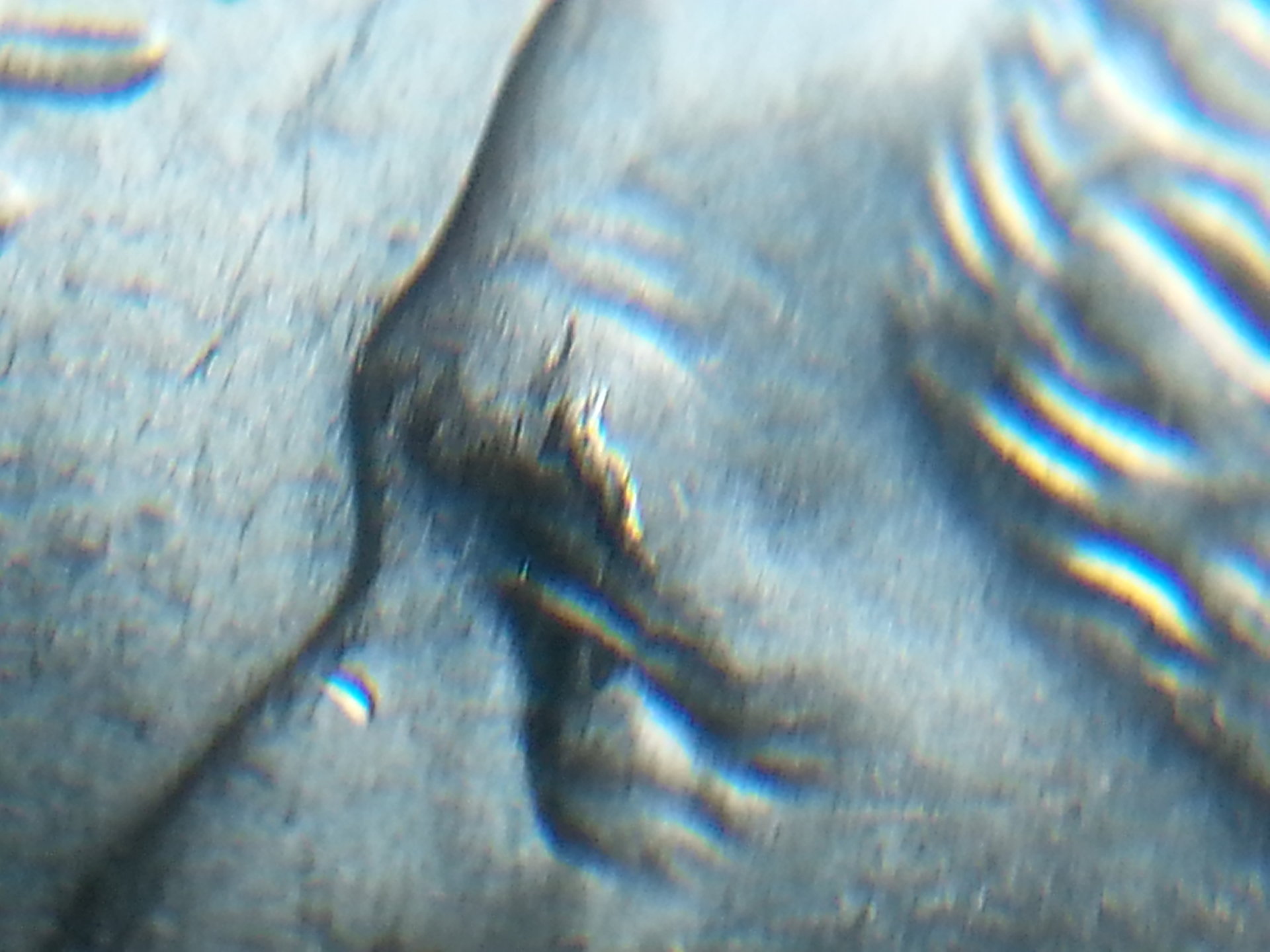 20151013_160154.jpg