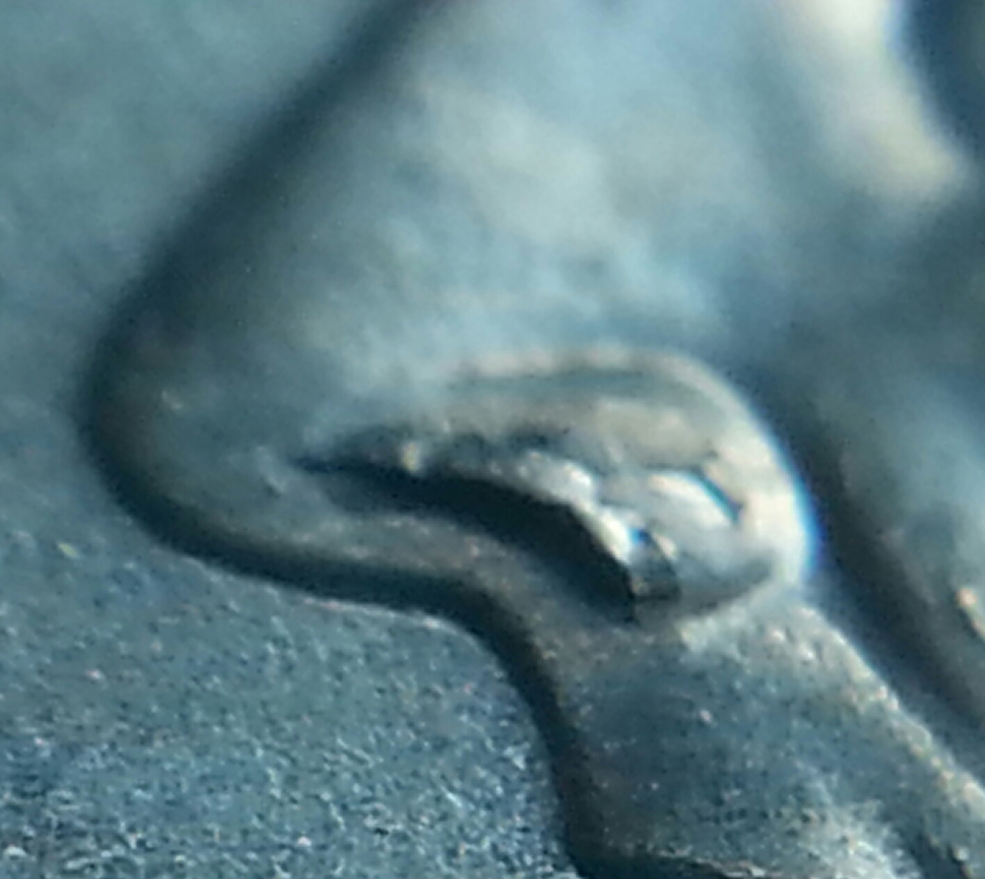 20151013_160249-1.jpg