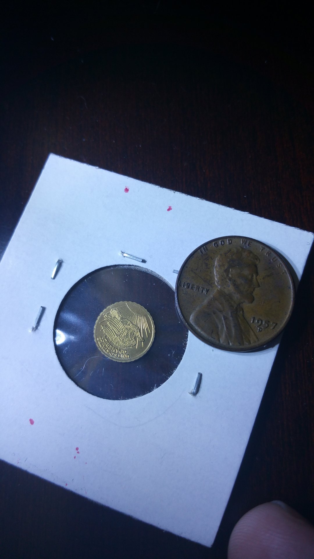 20151022_155805.jpg