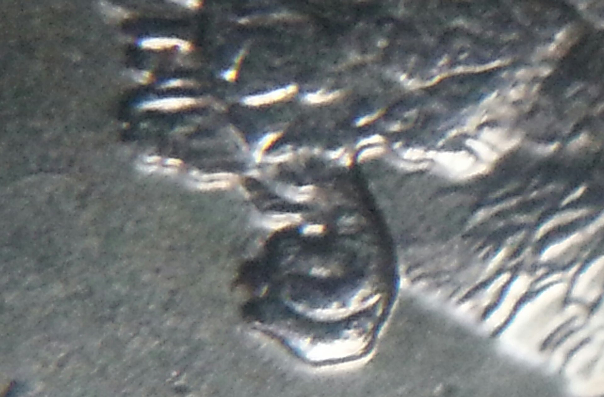 20151027_175347-1.jpg
