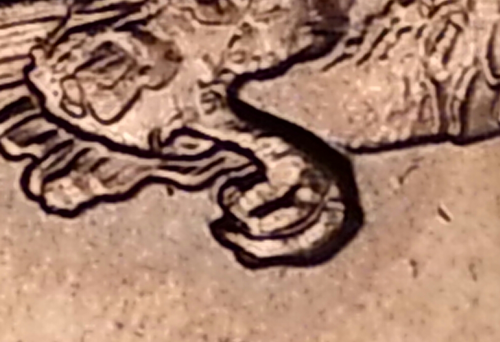 20151027_201414-1.jpg