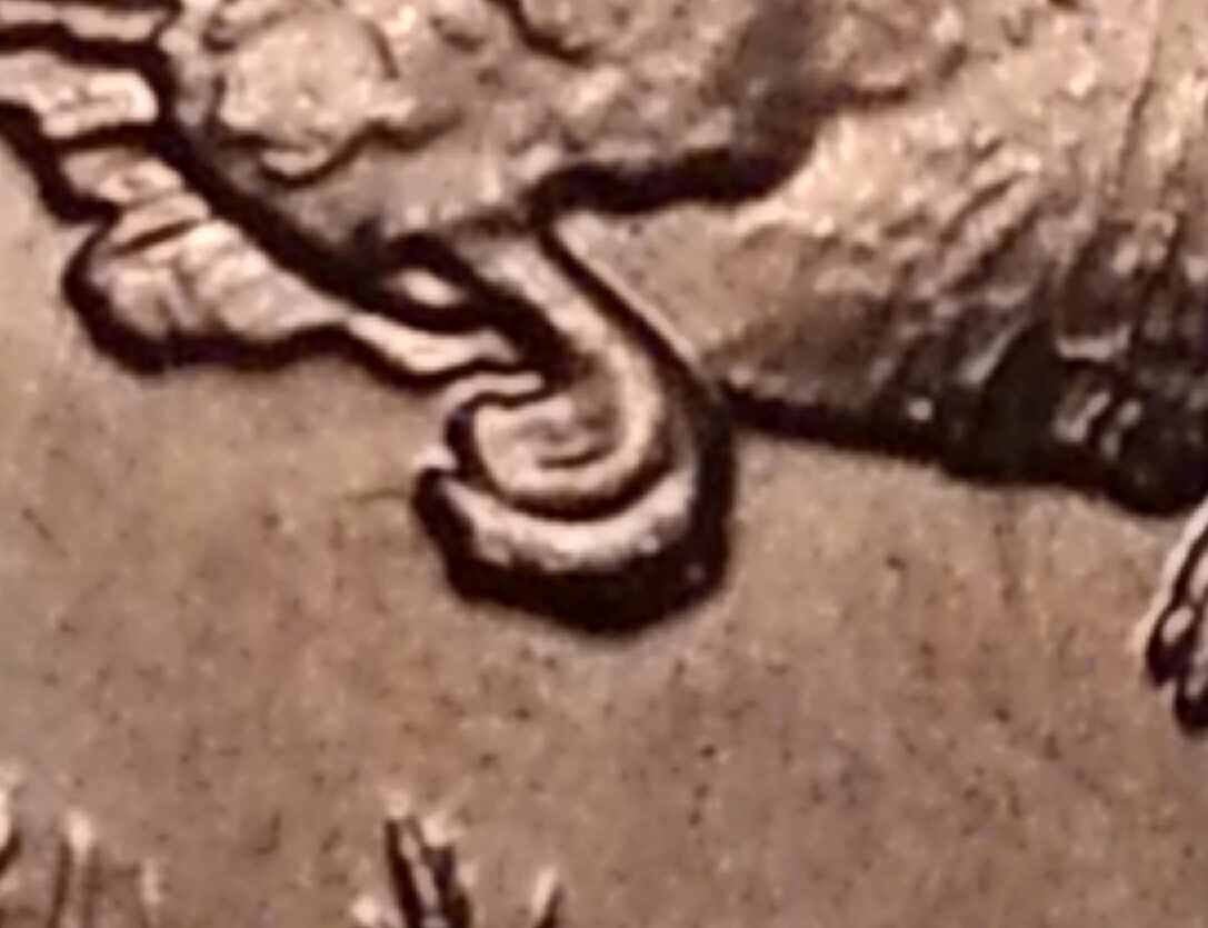 20151027_202840-1.jpg