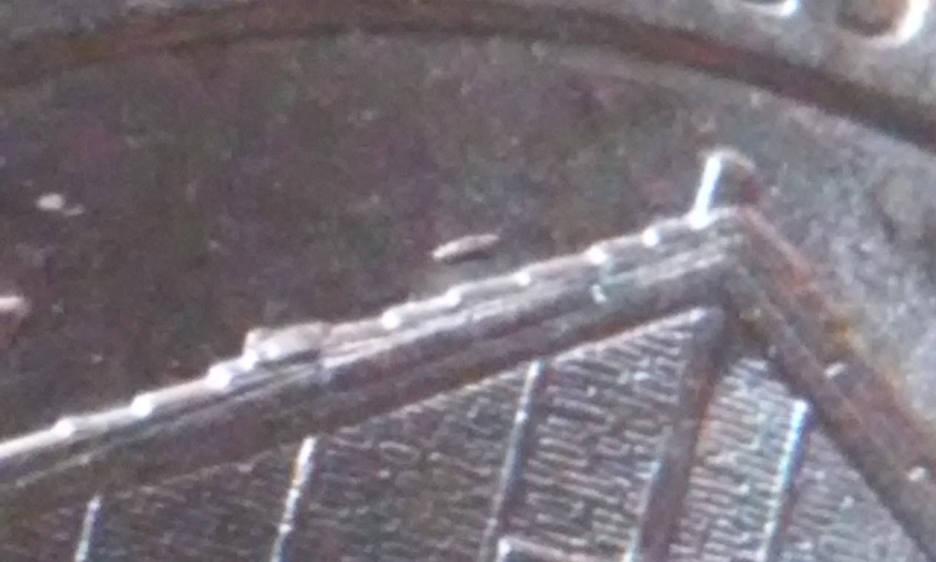 20151101_115019.jpg