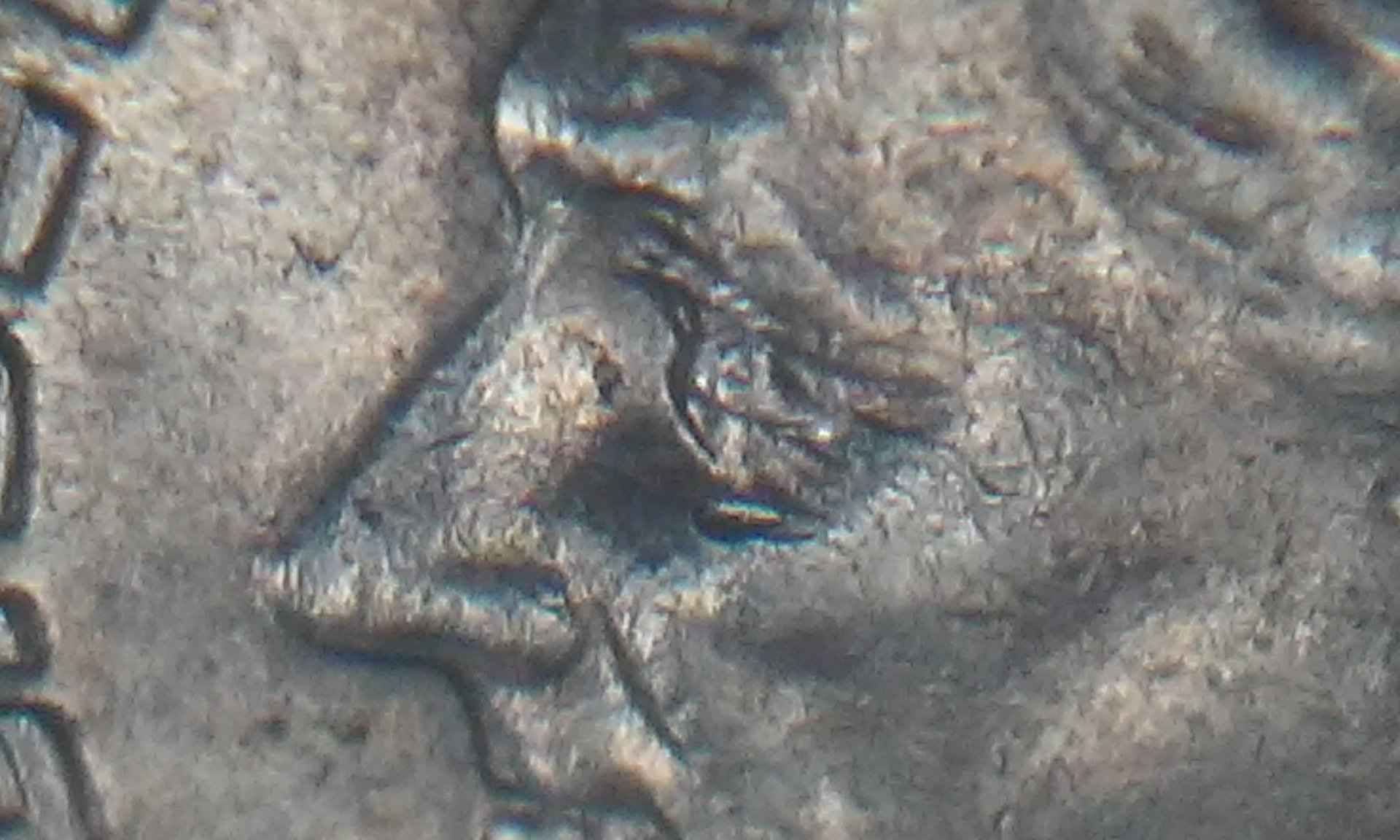 20151102_155008.jpg
