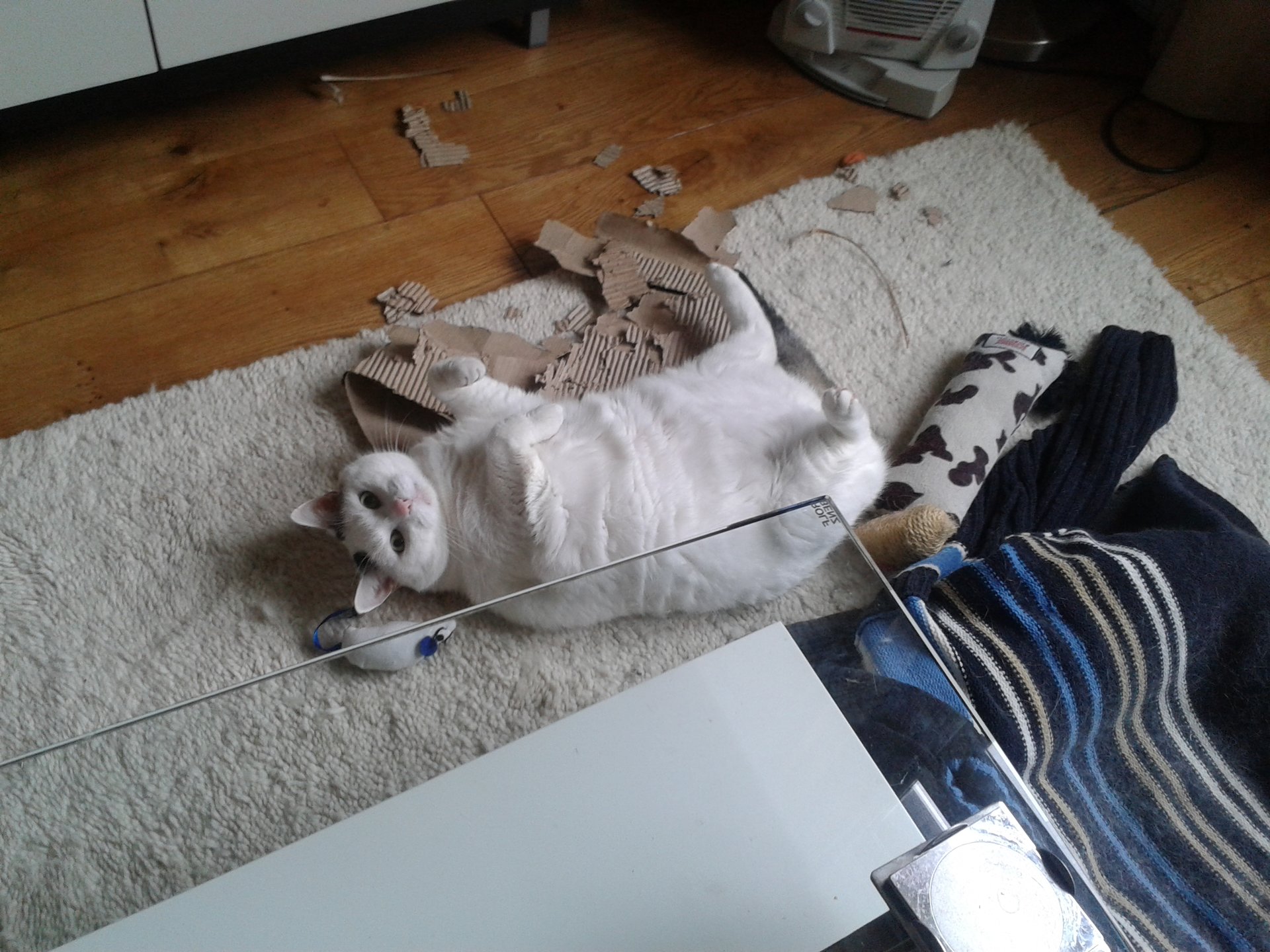 20151107_125355.jpg