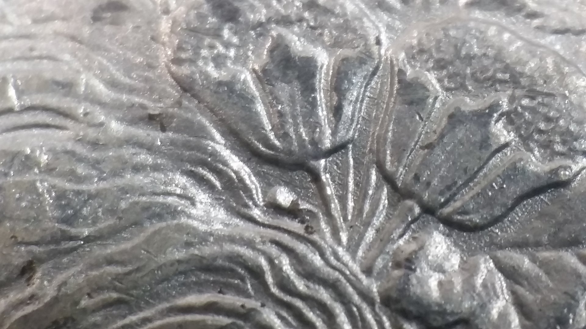 20151214_111458.jpg
